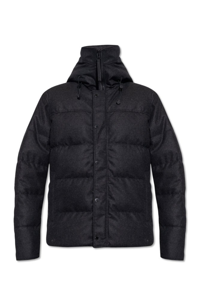 Shop Canada Goose Mcmillan Padded Jacket In Black
