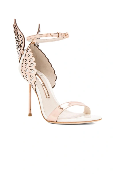 Shop Sophia Webster Evangeline Leather Heels In Rose Gold & White