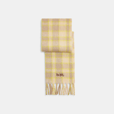 Shop Coach Outlet Classic Plaid Oversized Muffler In White