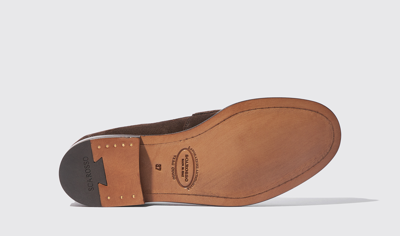 Scarosso Harper Brown Suede In Brown - Suede