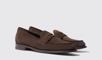Scarosso Harper Brown Suede In Brown - Suede
