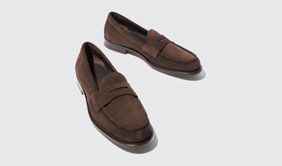 Scarosso Harper Brown Suede In Brown - Suede