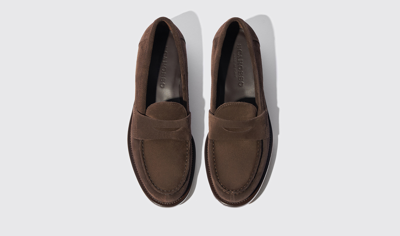 Scarosso Harper Brown Suede In Brown - Suede