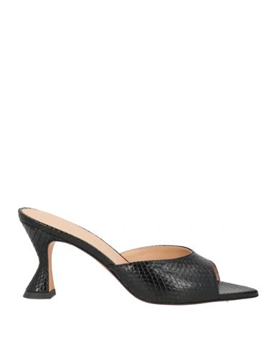 Shop Deimille Woman Sandals Black Size 8 Soft Leather