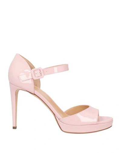 Shop Sergio Rossi Woman Sandals Pink Size 10.5 Calfskin