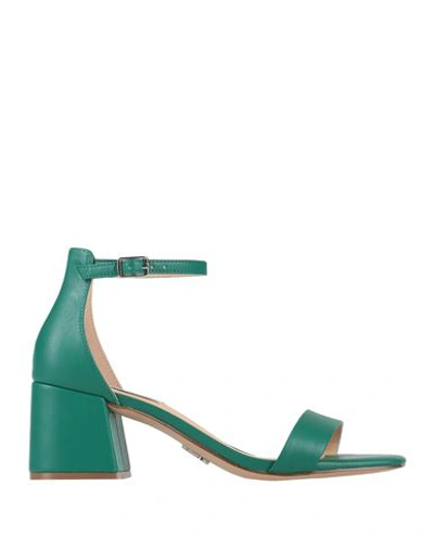 Shop Steve Madden Woman Sandals Emerald Green Size 8 Soft Leather