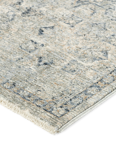 Shop D Style Kingly Kgy4 1'8" X 2'6" Area Rug In Mist