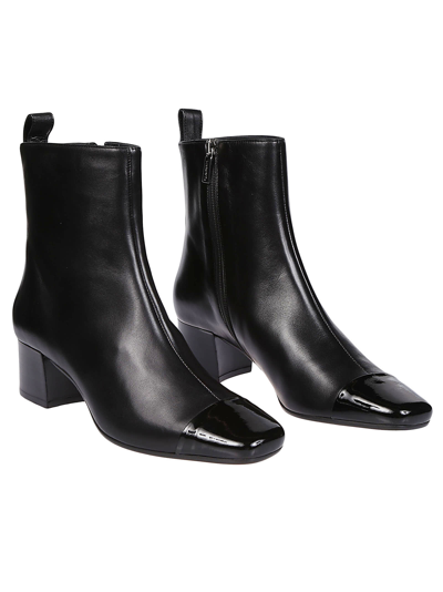 Shop Carel Estime Bis Ankle Boots In Black