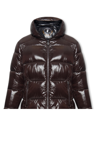 Shop Save The Duck Edgard Quilted Jacket With Hood In Brown Black