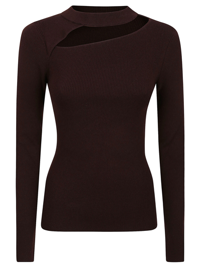 Shop Diane Von Furstenberg Sweater In Brown