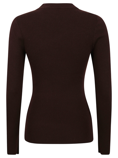 Shop Diane Von Furstenberg Sweater In Brown