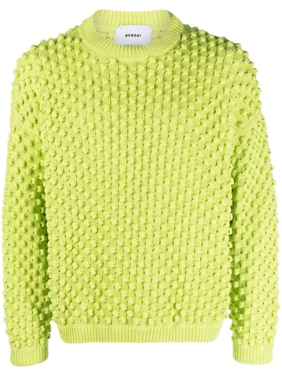Shop Bonsai Knit Crewneck Sweater In Green