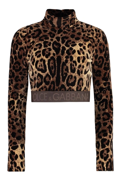 Shop Dolce & Gabbana Long Sleeve Crop Top In Animalier