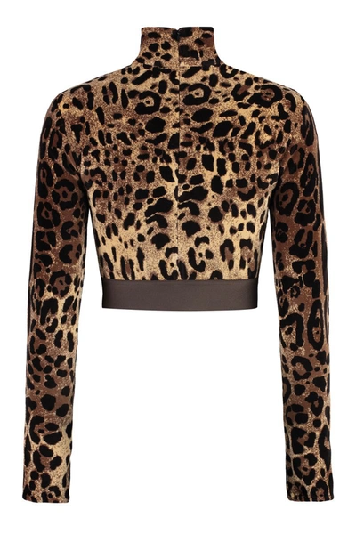 Shop Dolce & Gabbana Long Sleeve Crop Top In Animalier