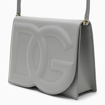 Shop Dolce & Gabbana Dolce&gabbana Camera Bag With A Shoulder Strap In Grey