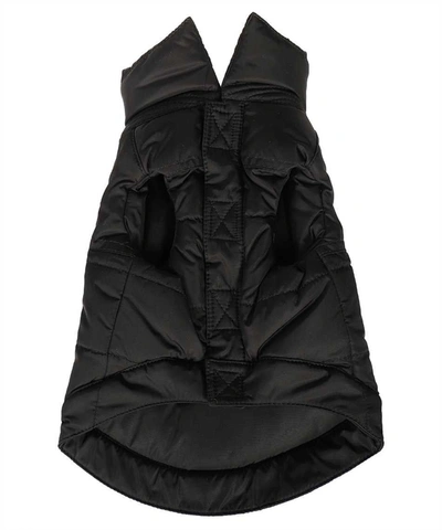 Shop Dsquared2 Poldo X D2 - Hooded Down Jacket In Black