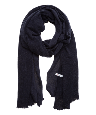 Pin1876 By Botto Giuseppe Cashmere Scarf In Blue