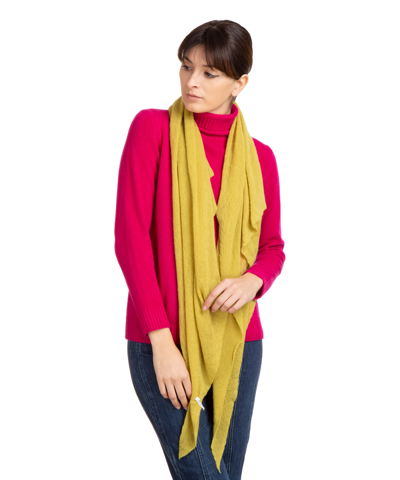 Pin1876 By Botto Giuseppe Cashmere Scarf In Green