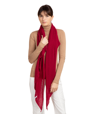 Shop Pin1876 By Botto Giuseppe Cashmere Scarf In Red