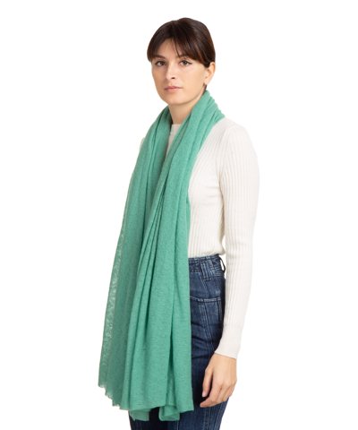 Shop Pin1876 By Botto Giuseppe Cashmere Scarf In Green