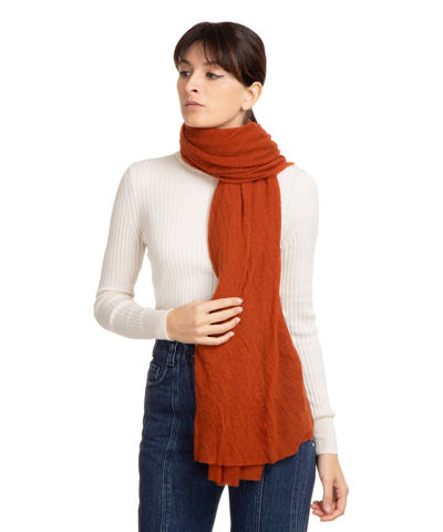 Shop Pin1876 By Botto Giuseppe Cashmere Scarf In Brown