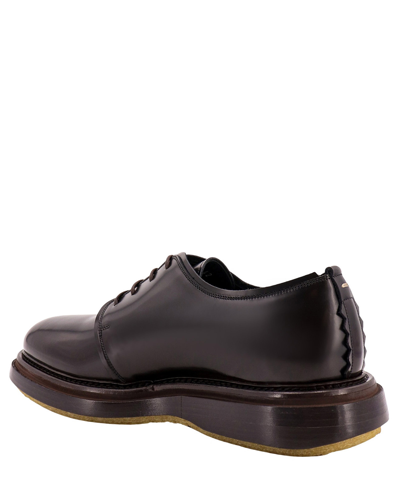 Shop The Antipode Derby Shoes In Brown