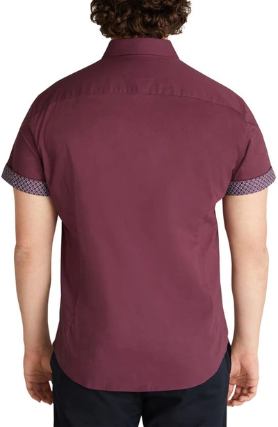 Shop Johnny Bigg Leo Solid Stretch Cotton Short Sleeve Button-up Shirt In Burgundy