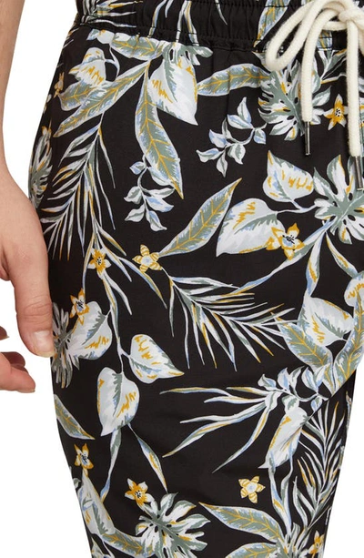 Johnny Bigg Tropics Print Swim Trunks In Black