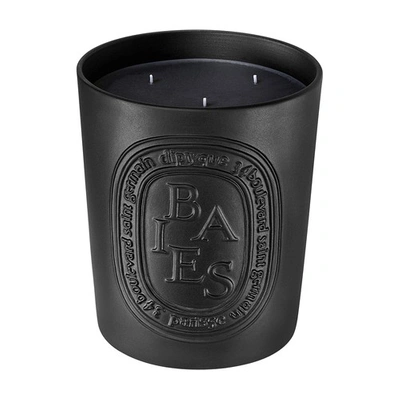 Shop Diptyque Baies (berries) Large Candle 600 G In No_color