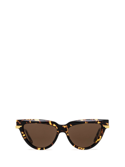 Shop Bottega Veneta Bv1265s Havana Sunglasses