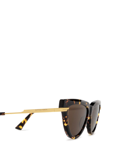 Shop Bottega Veneta Bv1265s Havana Sunglasses