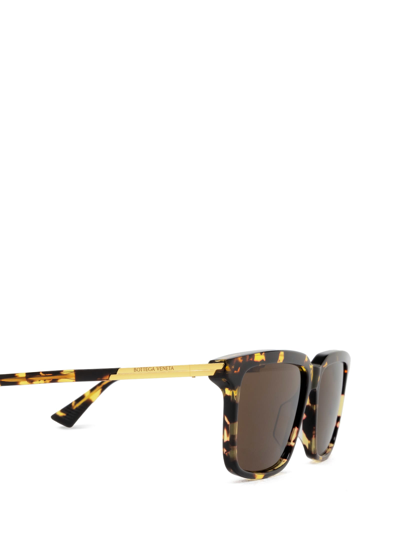 Shop Bottega Veneta Bv1261s Havana Sunglasses