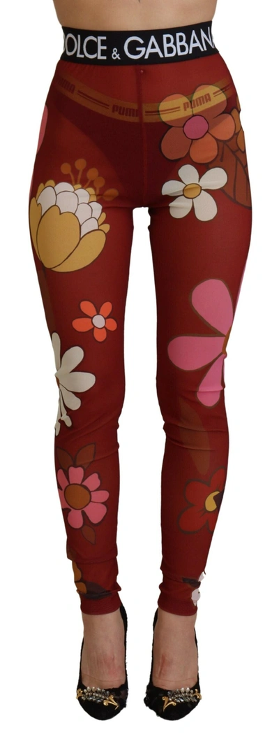 Shop Dolce & Gabbana Red Floral Leggings Stretch Waist Women's Pants