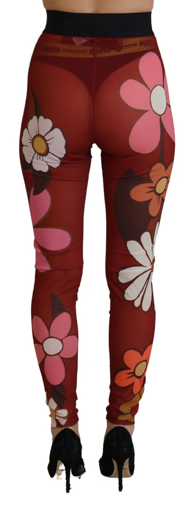 Shop Dolce & Gabbana Red Floral Leggings Stretch Waist Women's Pants