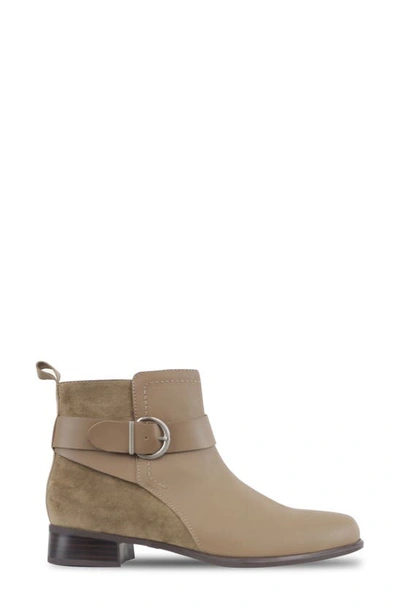 Shop Munro Chestnut Bootie In Taupe/ Sesame Combo
