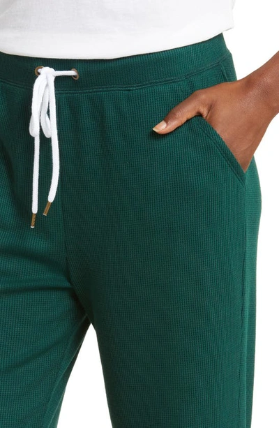 Honeydew Intimates Off The Clock Lounge Joggers In Thyme
