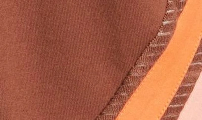 Rip Curl Trails Fleece Shorts In Brown