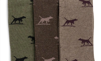 Rodd & Gunn Dogs-a-plenty Assorted 3-pack Cotton Blend Crew Socks In Earth Multi