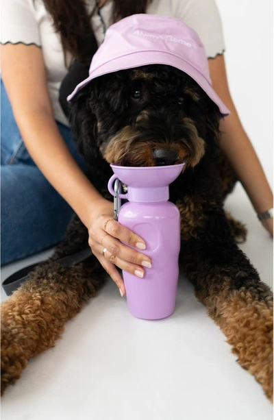 Shop Springer Dog Walk Bag & 15 Oz. Water Bottle Set In Lilac