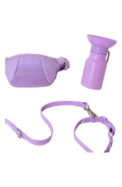 Shop Springer Dog Sling Bag & 22 Oz. Water Bottle Set In Lilac