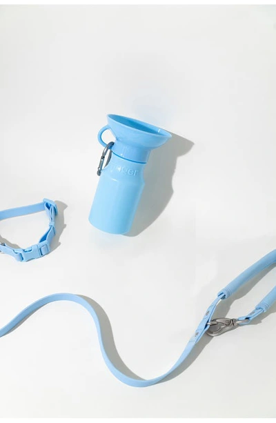 Shop Springer Dog Leash & 22 Oz. Water Bottle Set In Sky Blue