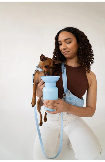 Shop Springer Dog Sling Bag & 15 Oz. Water Bottle Set In Sky Blue