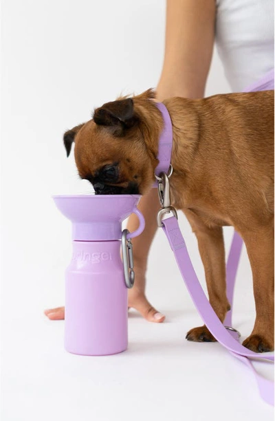 Shop Springer Dog Leash & 15 Oz. Water Bottle Set In Lilac