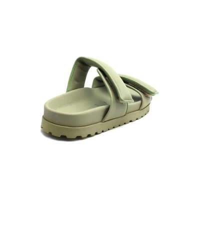 Shop Gia Couture Sandals In Sage Green