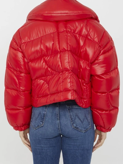 Patou Cropped Puffer Jacket In Red