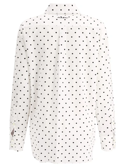 Shop Marni Polka Dots Shirt In White