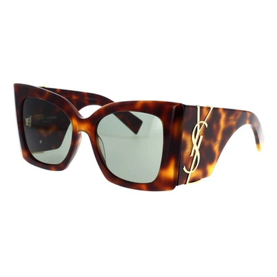 Saint Laurent Eyewear Sunglasses In Havana