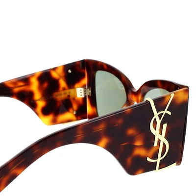 Saint Laurent Eyewear Sunglasses In Havana