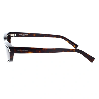 Saint Laurent Eyewear Sunglasses In Havana