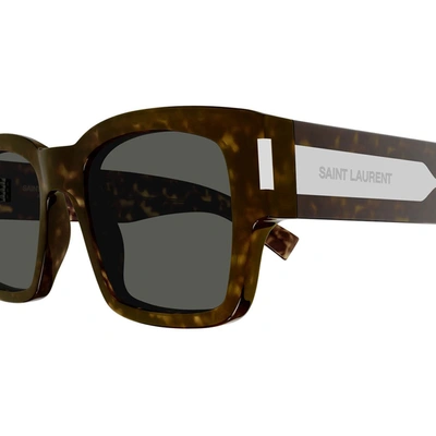 Saint Laurent Eyewear Sunglasses In Havana
